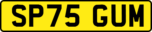 SP75GUM