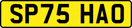SP75HAO