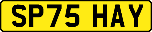SP75HAY