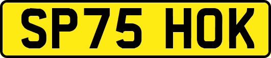 SP75HOK