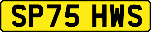 SP75HWS