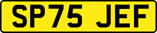 SP75JEF