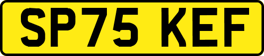 SP75KEF