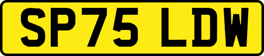SP75LDW