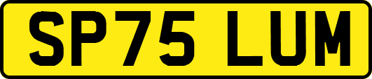 SP75LUM
