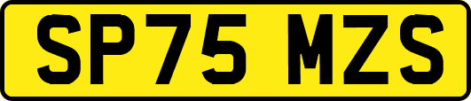 SP75MZS