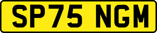 SP75NGM