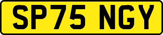 SP75NGY