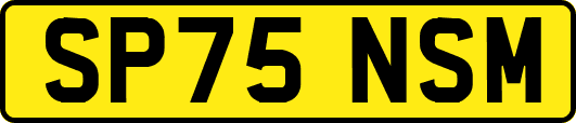 SP75NSM