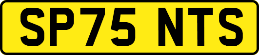 SP75NTS