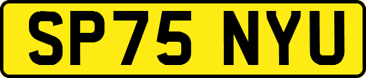 SP75NYU