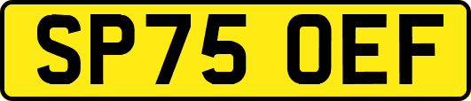 SP75OEF