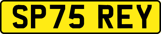 SP75REY