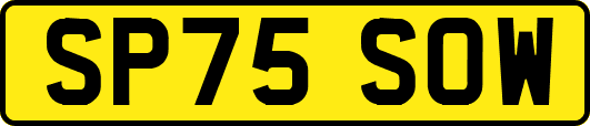 SP75SOW