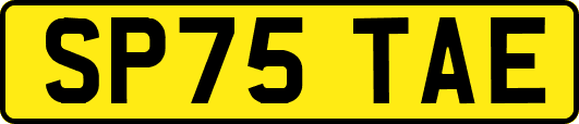 SP75TAE