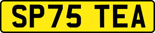 SP75TEA