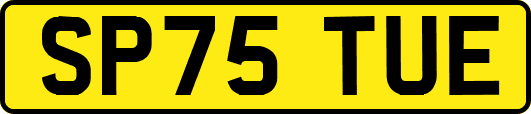 SP75TUE