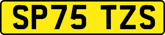 SP75TZS