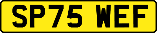 SP75WEF