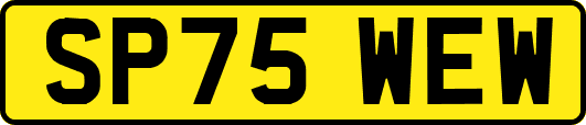 SP75WEW