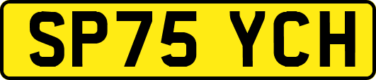 SP75YCH
