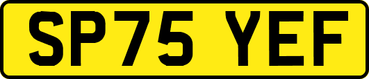 SP75YEF