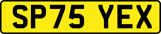 SP75YEX
