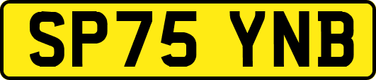 SP75YNB