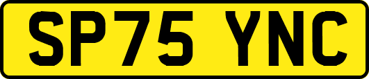 SP75YNC