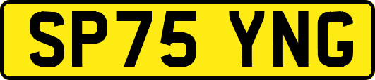 SP75YNG