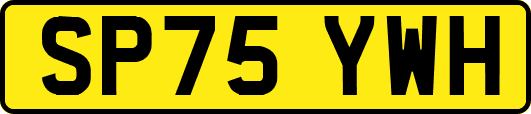 SP75YWH