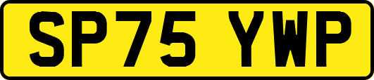 SP75YWP