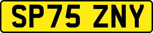 SP75ZNY