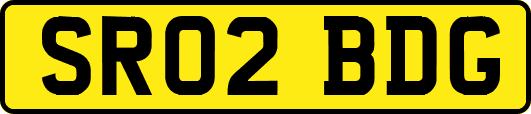 SR02BDG