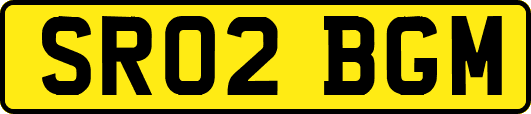 SR02BGM