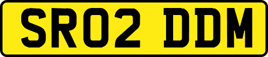 SR02DDM
