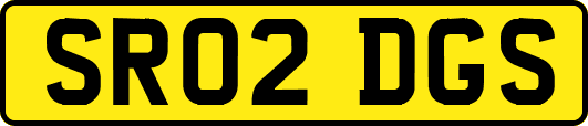 SR02DGS