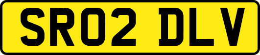 SR02DLV