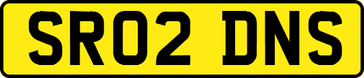 SR02DNS