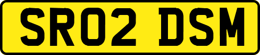 SR02DSM