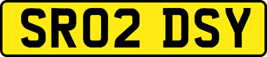 SR02DSY
