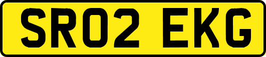 SR02EKG