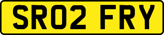SR02FRY