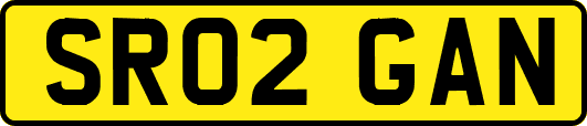 SR02GAN