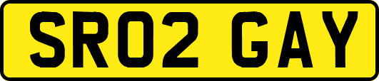 SR02GAY