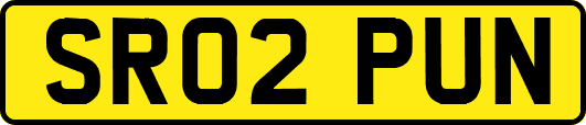 SR02PUN