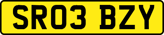 SR03BZY