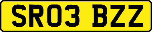 SR03BZZ