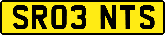 SR03NTS