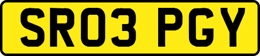 SR03PGY